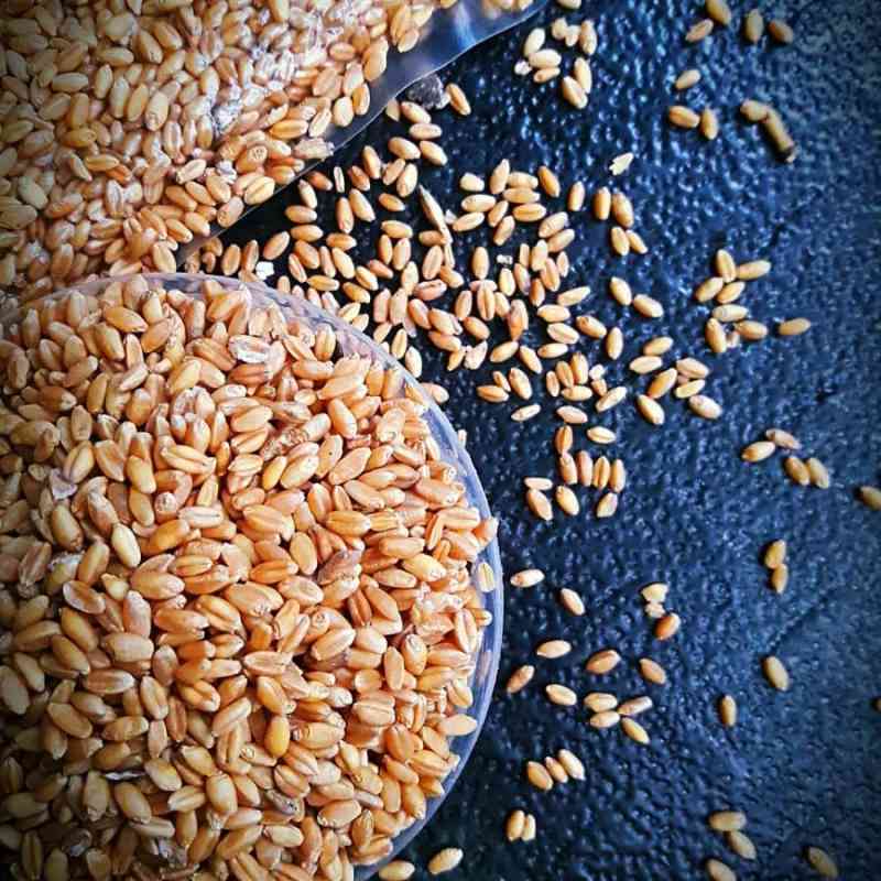 Gandum Pack Jual Gandum Utuh - 1 Kg & 1 Lt - Whole Wheat - Import Super Grade ...
