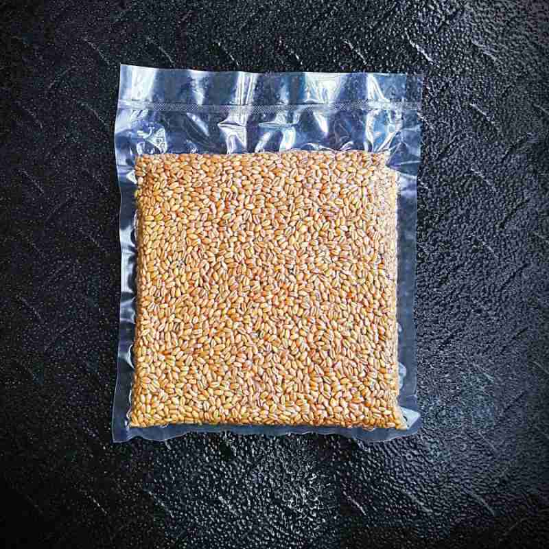Gandum Pack Jual Gandum Utuh - 1 Kg & 1 Lt - Whole Wheat - Import Super Grade ...