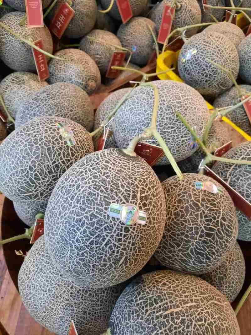 Jual Buah Melon Royal Musk Melon di Seller CMF Shop Randusari, Kota