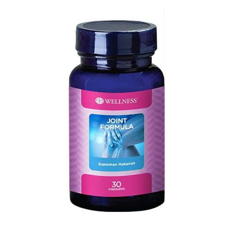 Jual Wellness Joint Formula Glucosamine Sulfate Chondroitin Vitamin