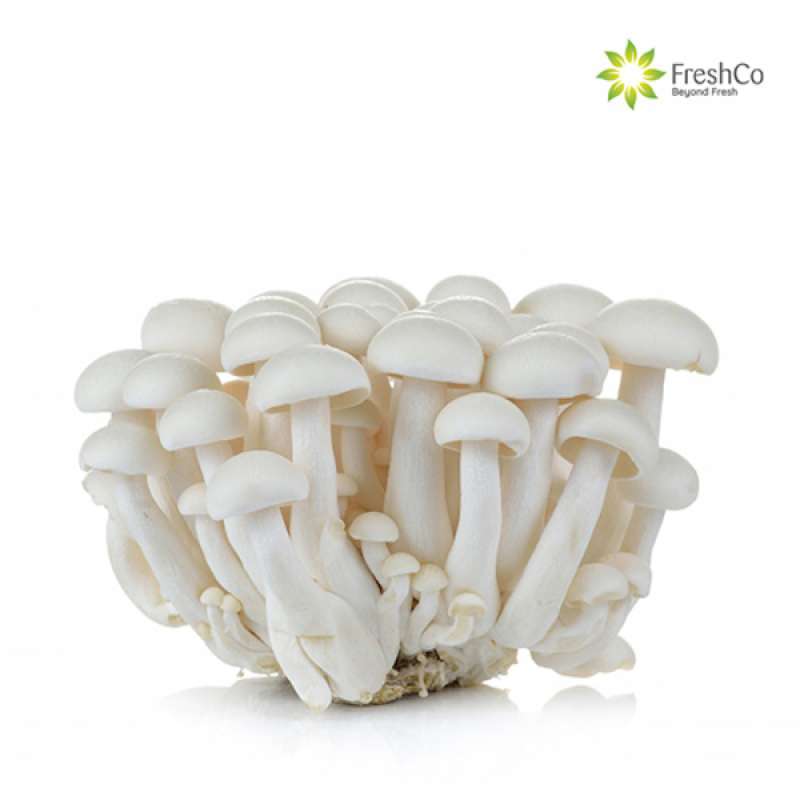 Jual FRESHCO Jamur Shimeji Putih [ 1 Pcs / 150 gr ] Online