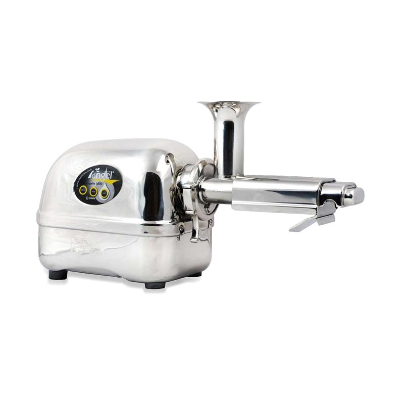 Jual Angel Juicer 5500 SU304 Stainless Steel Cold Pressed Slow Juicer