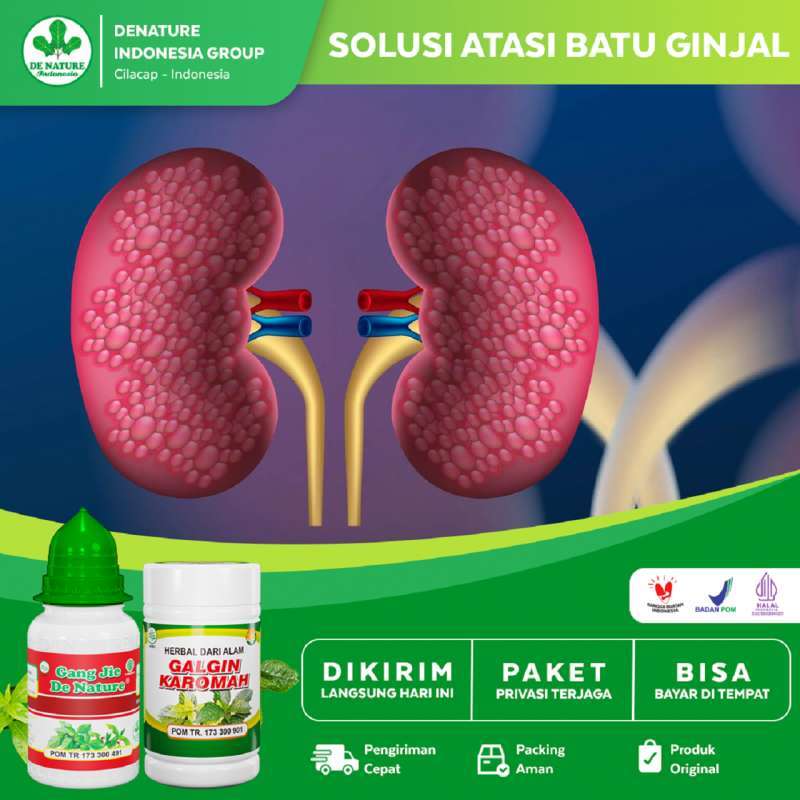 Jual DeNature Galgin Karomah Kapsul Batu Ginjal Kencing Batu, Batu ...