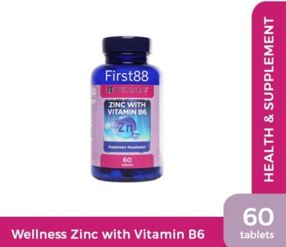 Jual Wellness Zinc With Vitamin B6 60 Tablet Di Seller Nur Nur Toko Tegal Parang, Kota Jakarta