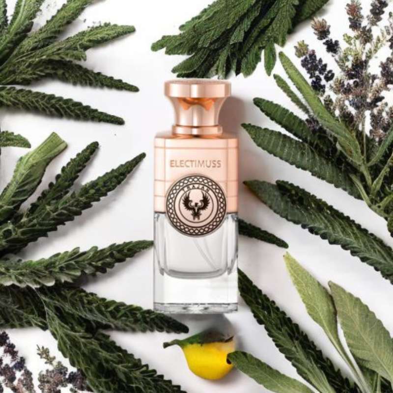 Promo Electimuss Trajan Pure Parfum 100ml for Unisex Diskon 2% di ...