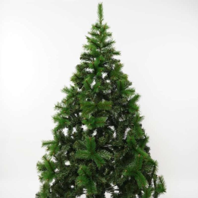 1 Meter 79 In Feet Discount 1-meter-79-in-feet-discount