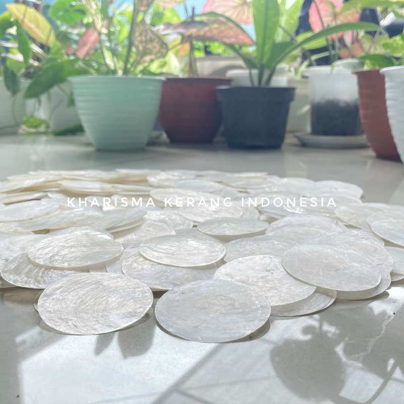 Promo KHARISMA KERANG INDONESIA - ROUND CAPIZ SHELL KERANG CAPIZ BULAT ...