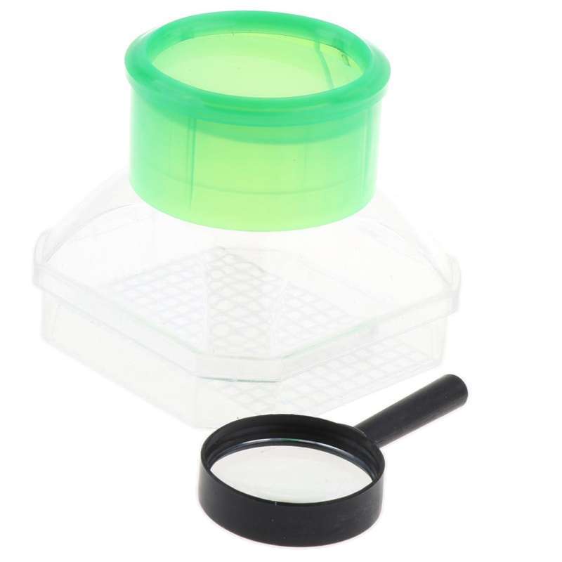 Jual Science Explore Insect & Bug Habitat Educational Toy Magnifier Specimen Box di Seller