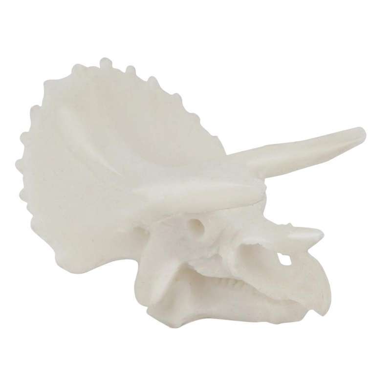 Promo Safety Resin Skull Aquarium Decor, Animal Skeleton Figurine