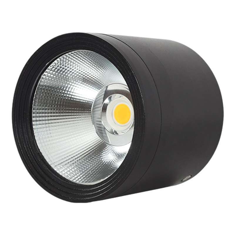 Promo Ceiling Downlights 12W Black Spot Light for Under Eave Bathroom