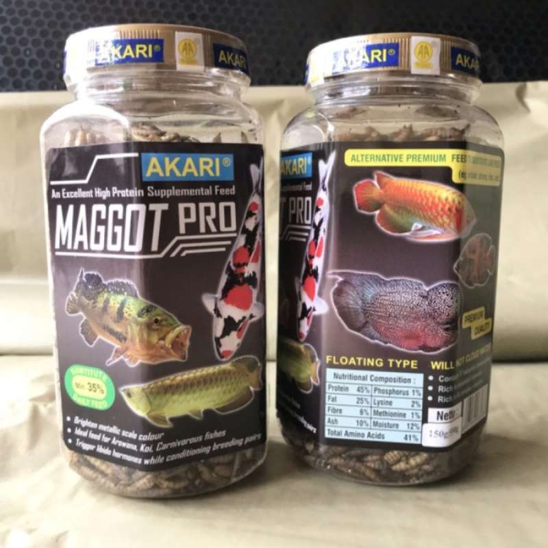 Jual Akari Maggot Pro Makanan Ikan Arwana Koi Louhan Kelabang 130Gr di