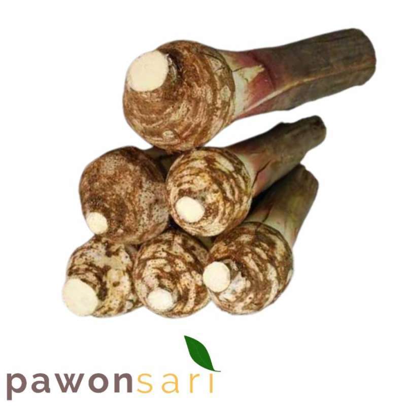 Jual talas ketan bogor di Seller Pawon sari Pawon sari Kota Bogor