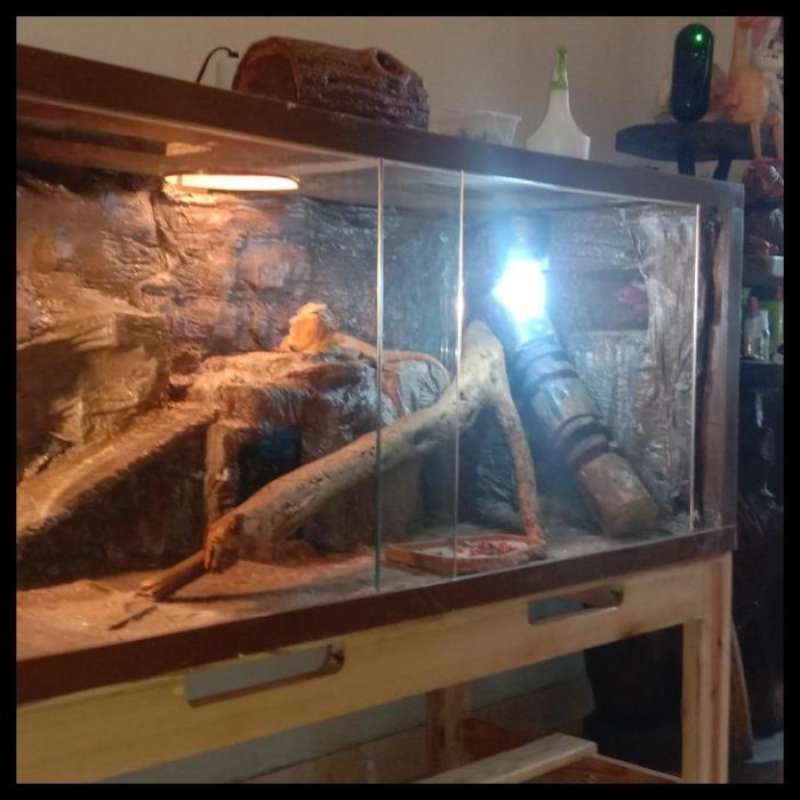 Jual Ready Stock Terrarium Reptil / Kandang Reptil, Jati Belanda Best