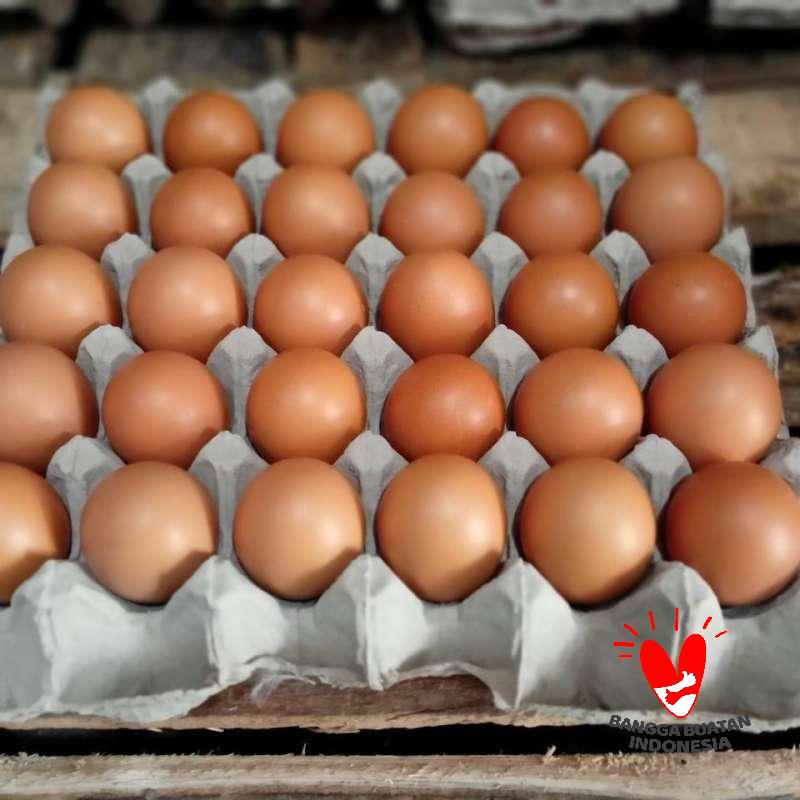 Jual Jakarta Sembako Telur Ayam Negeri [1 kg] Online