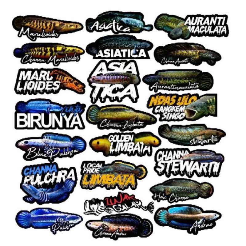 Stiker: Senjata Rahasia Sukses Jualan Ikan Online