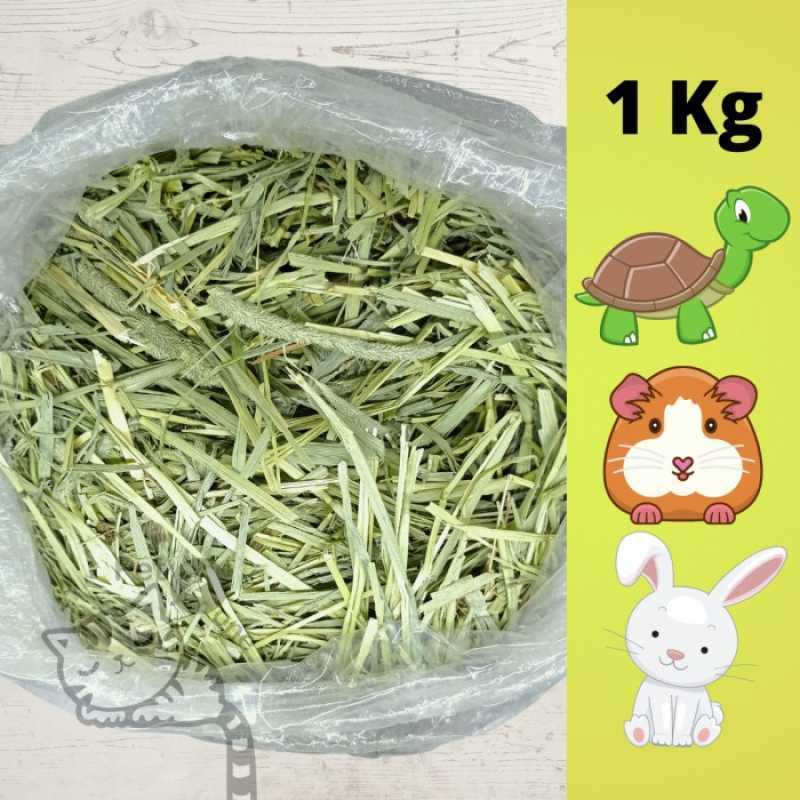 Promo Timothy Hay 1Kg Special Hay Makanan Kelinci Torto Guinea Pig
