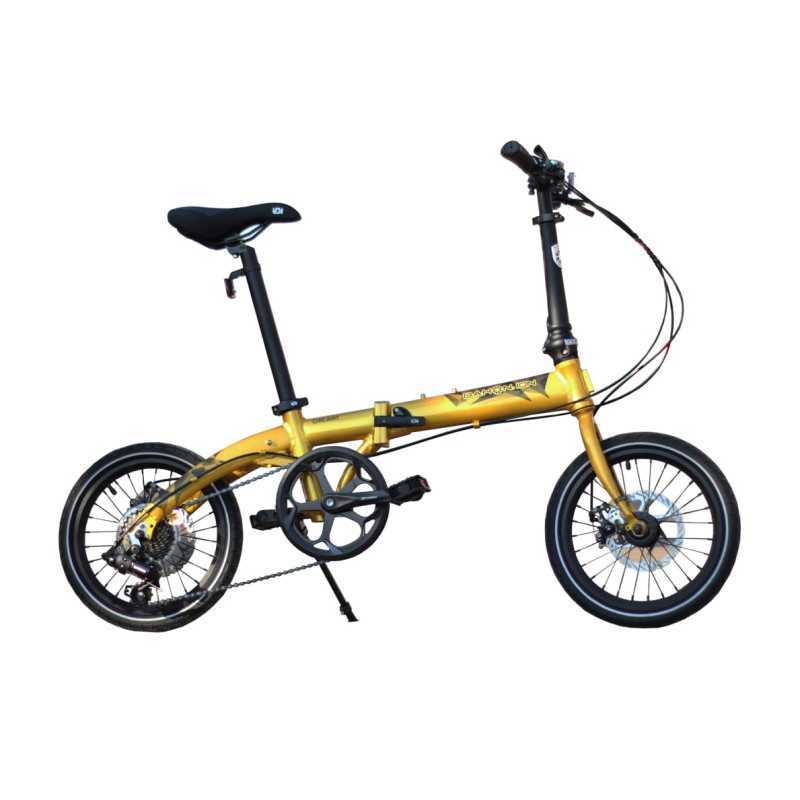 sepeda dahon ion