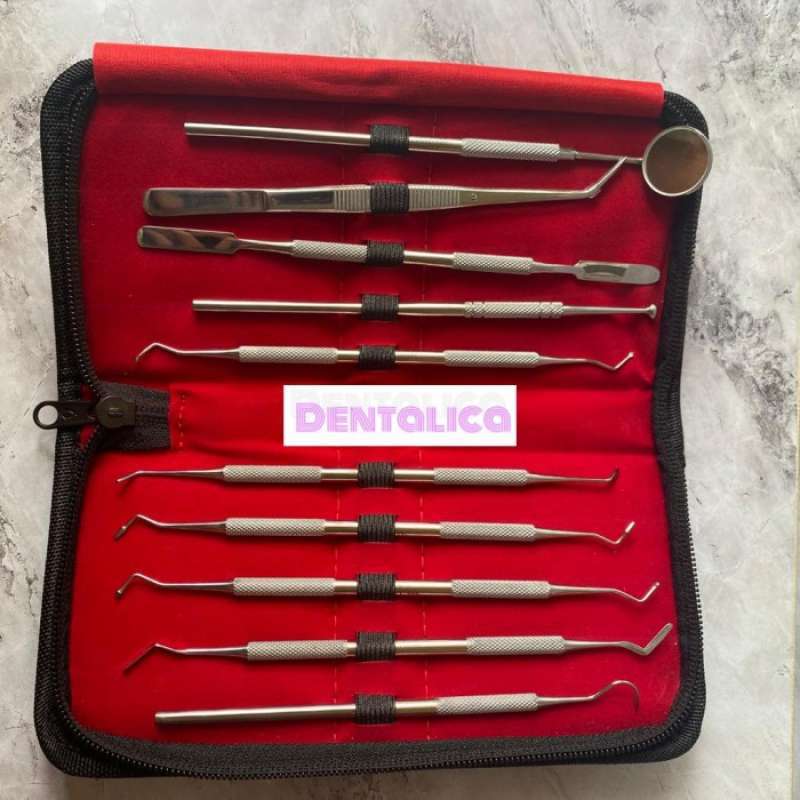 Promo Dental kit compact instrumen dasar/ basic instrument/ diagnostic