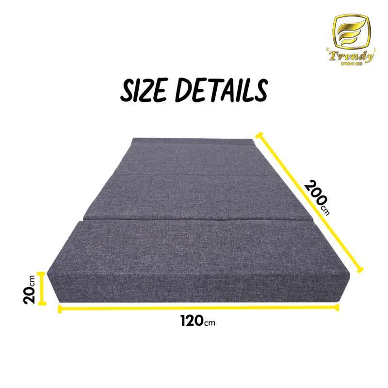 Jual Trendy Paradiso Sofa Bed 120x200x20 Cm Kasur Busa Lipat