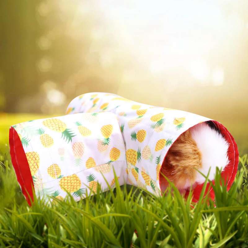 Générique Guinea Pig Tunnel - Hideaway Play Tube Toys, Ferret