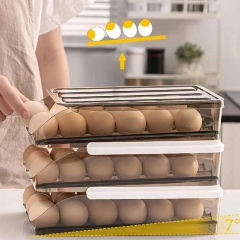 Jual Rak Susun Telur 2 Tingkat Kotak Telur Storage Box Telur Serbaguna ...