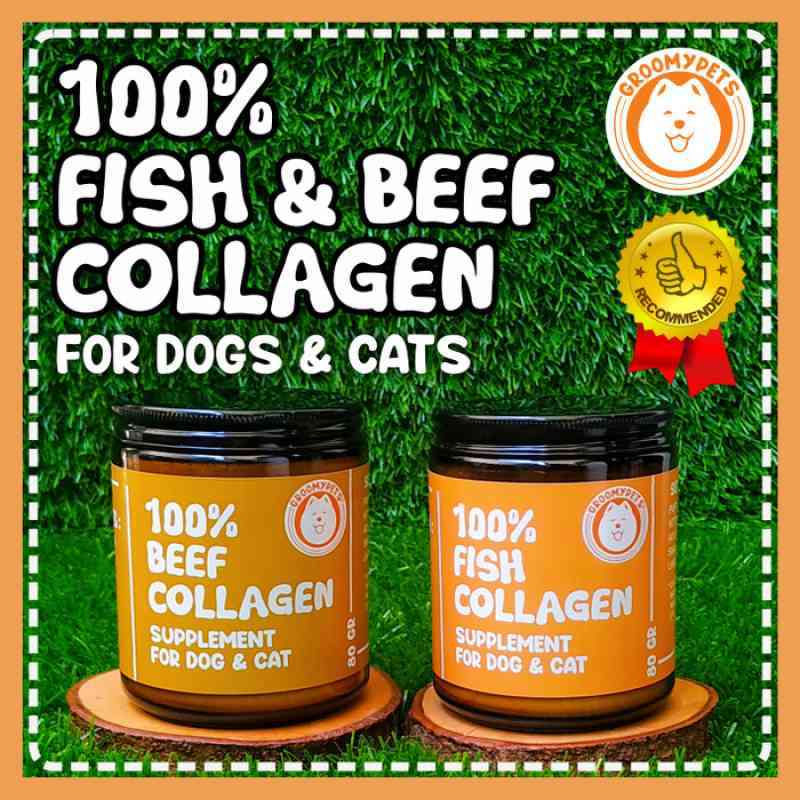Jual fish collagen beef collagen vitamin supplemen anjing dan
