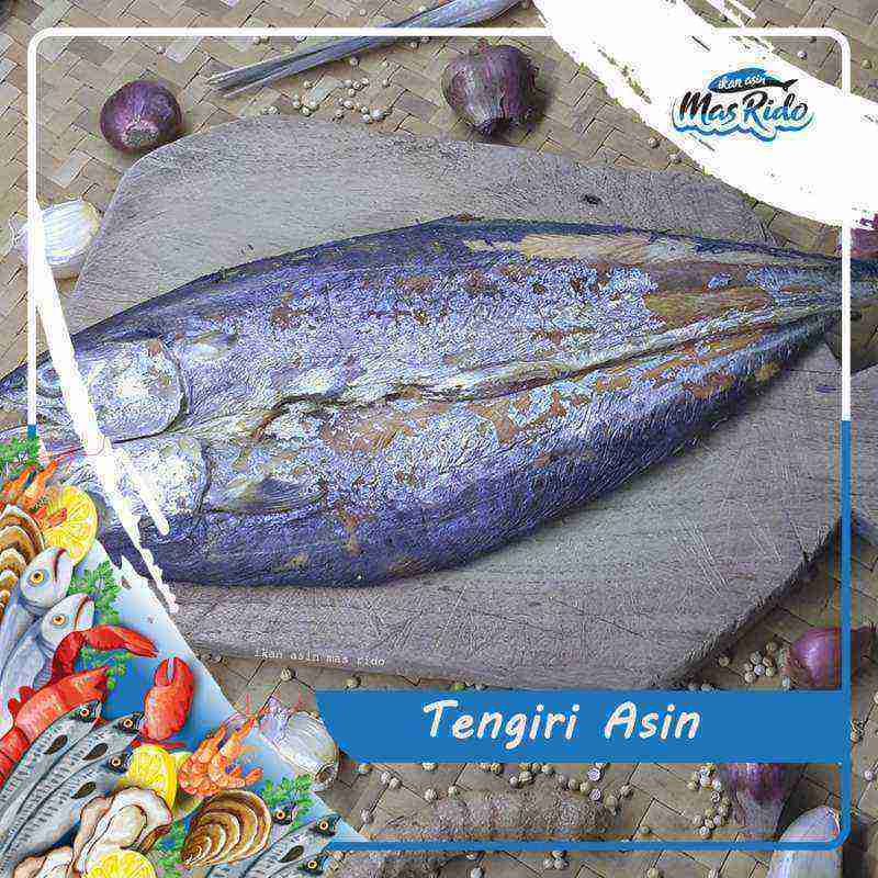 Tenggiri Segar, Langsung Sampai Meja Anda: Panduan Lengkap Memilih Toko Online Jual Daging Ikan Tenggiri