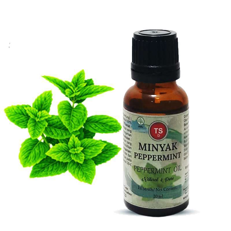 Jual Minyak Peppermint Murni Peppermint Oil Essential Oil Ml Di