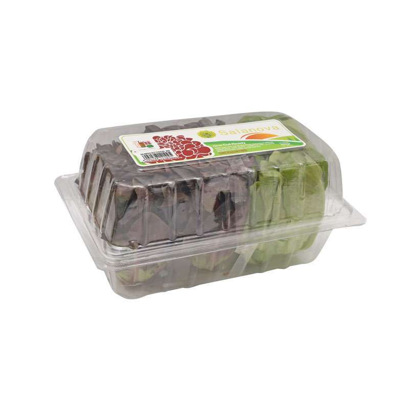 Jual LOTTEMART Salanova Butterhead Mix di Seller Lottemart Fresh