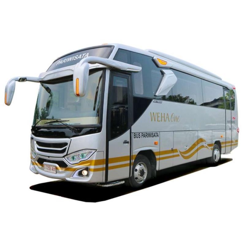 Jual [1 Day] White Horse Deluxe Coach WH One Luxury Medium Bus di ...