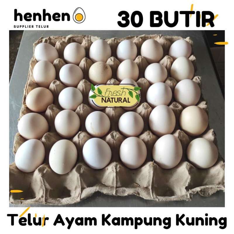 Jual TELUR AYAM KAMPUNG KUNING 1 PACK (30 BUTIR) SUPPLIER TELUR HENHEN