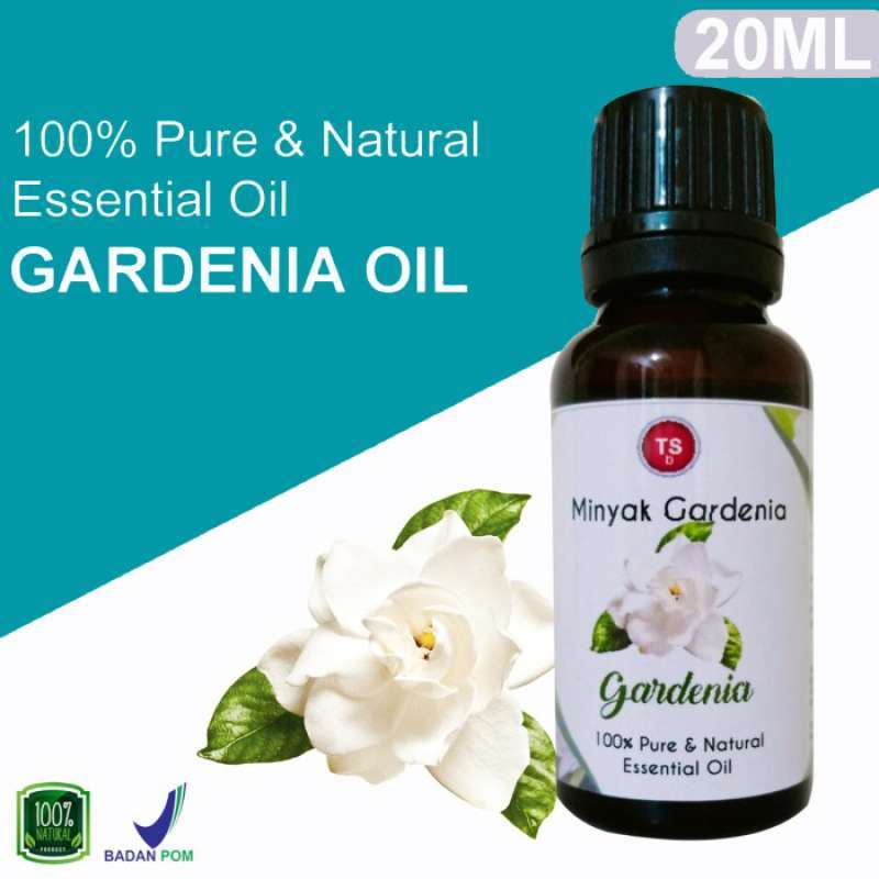 Jual Gardenia Oil Minyak Gardenia Essential Oil 100 Murni 20ML di