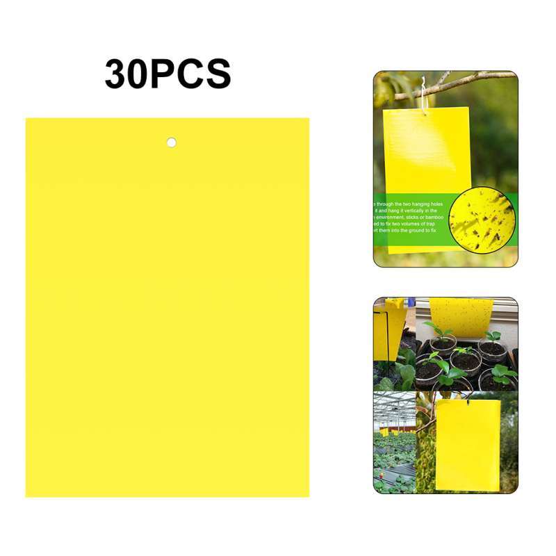 Yellow Insect Traps Promo Dual-Sided Yellow Sticky Traps for Flying Plant Insect Such as ...