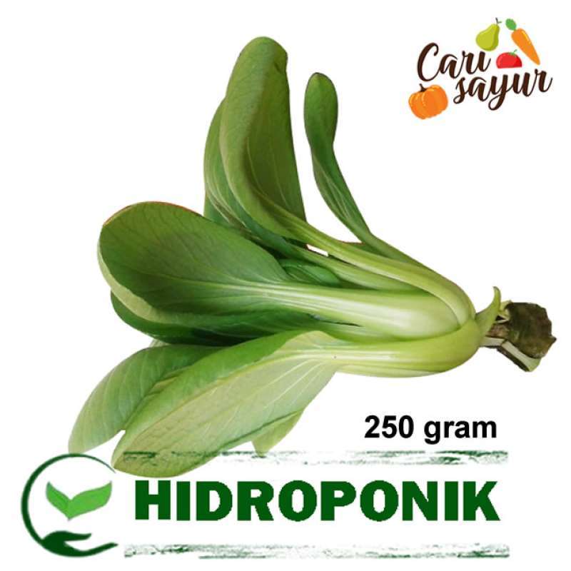 Jual CARI SAYUR - Pakcoy Hidroponik [250 gr] di Seller Cari Sayur ...