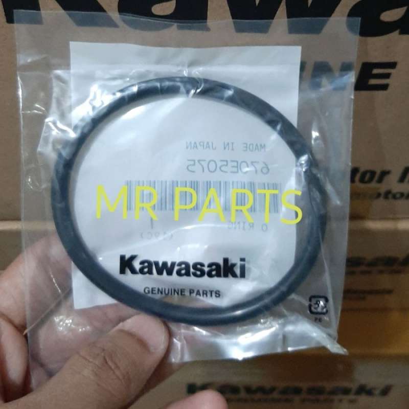Jual ORING SEAL FUELPUMP ORING FUEL PUMP NINJA 250 FI Z250FI ORIGINAL