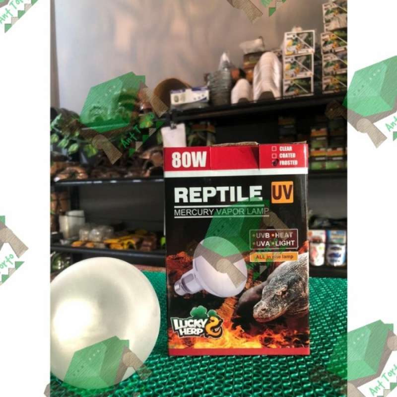 Lampada UVA/UVB Per Rettili Lucky Herp - 80 Watt, E27, Con Vapori Di Mercurio - Foto 10
