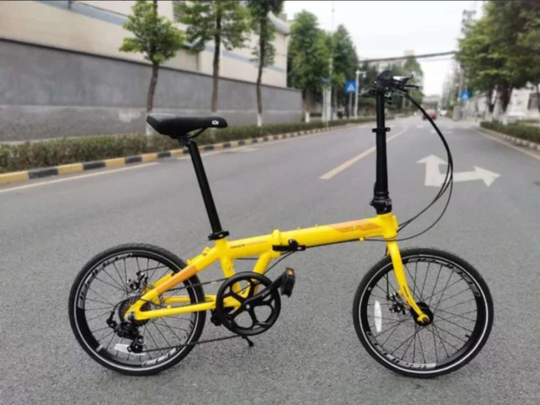 dahon ion sepeda
