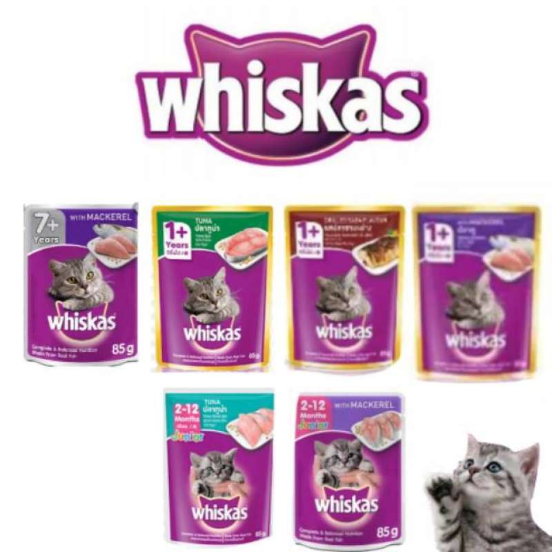 Jual Whiskas Kitten Pakan Makanan Kucing Basah Wet Food 80 Gram di Seller Arsya Gardens