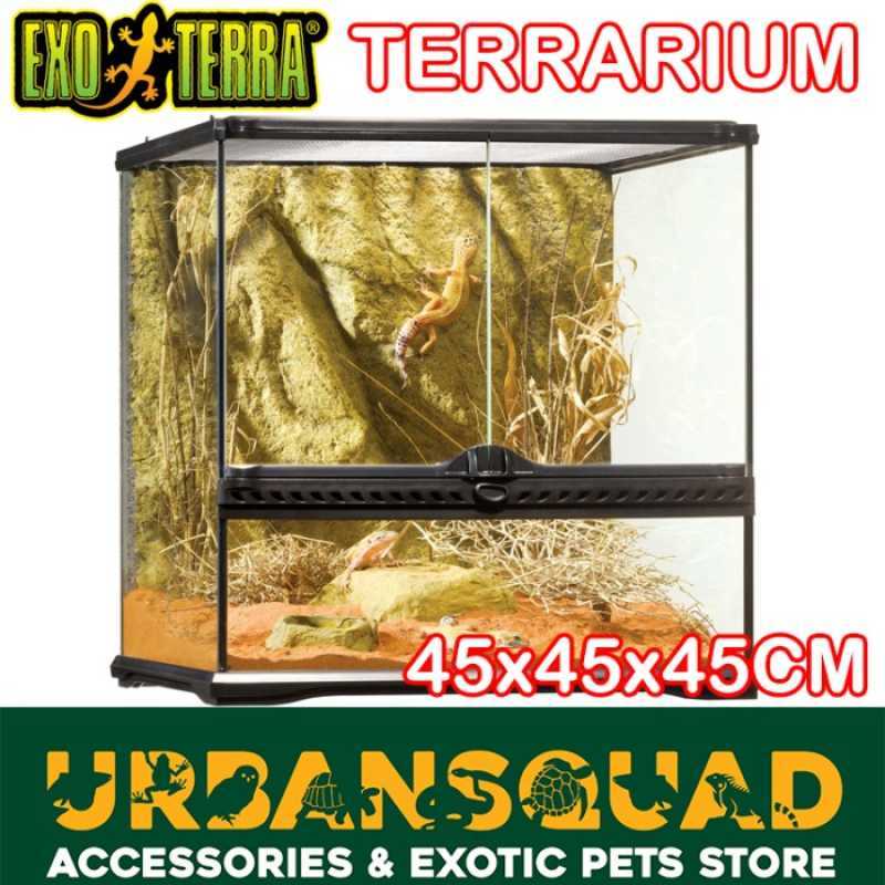 Promo EXOTERRA TERRARIUM 45x45x45 KANDANG SULCATA DART FROG ALDABRA