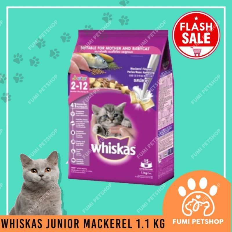 Promo Whiskas Junior Mackerel 1,1Kg Makanan Kucing Diskon 16 di