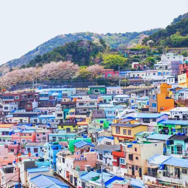 Jual Sim Card South Korea Unlimited Simcard Selatan KPOP BTS Jeju Seoul