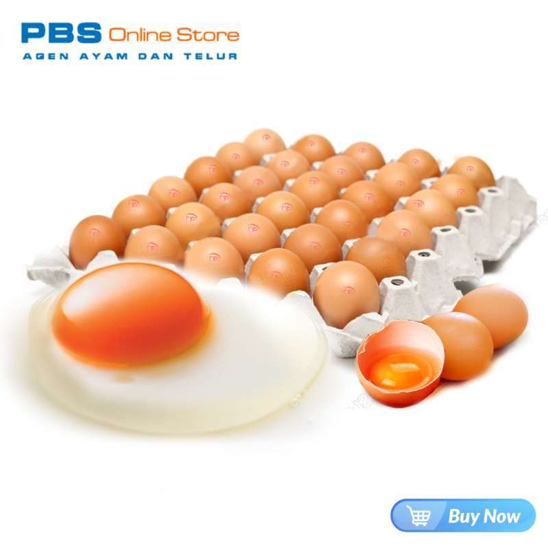 Jual Telur Omega 3 fresh 1 kg di Seller Pakuan Frozen Fresh Mulyaharja, Kota Bogor Blibli