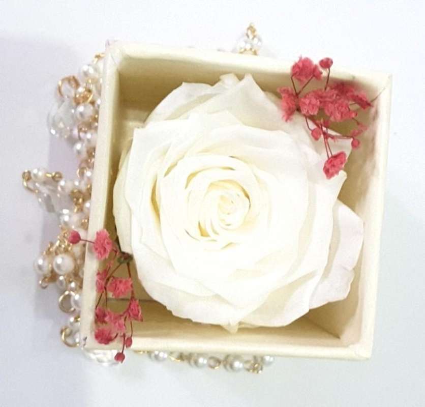 Jual Box A Single White Rose Beauty Preserved Flower Represent Innocent