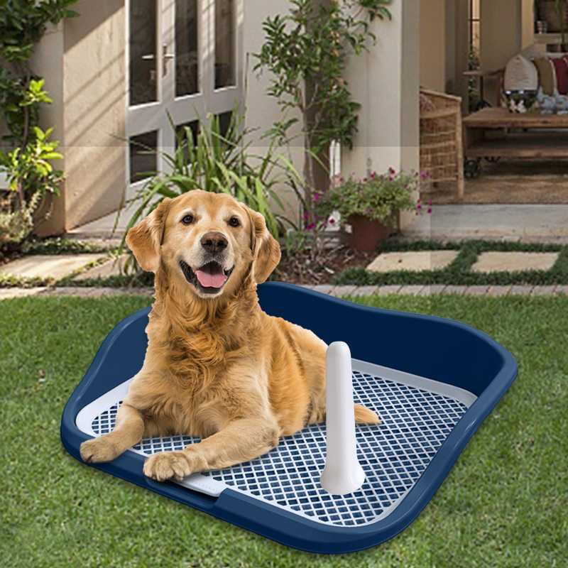 Jual Portable Mesh Dog Training Toilet Litter Box Small Dog Urinal With