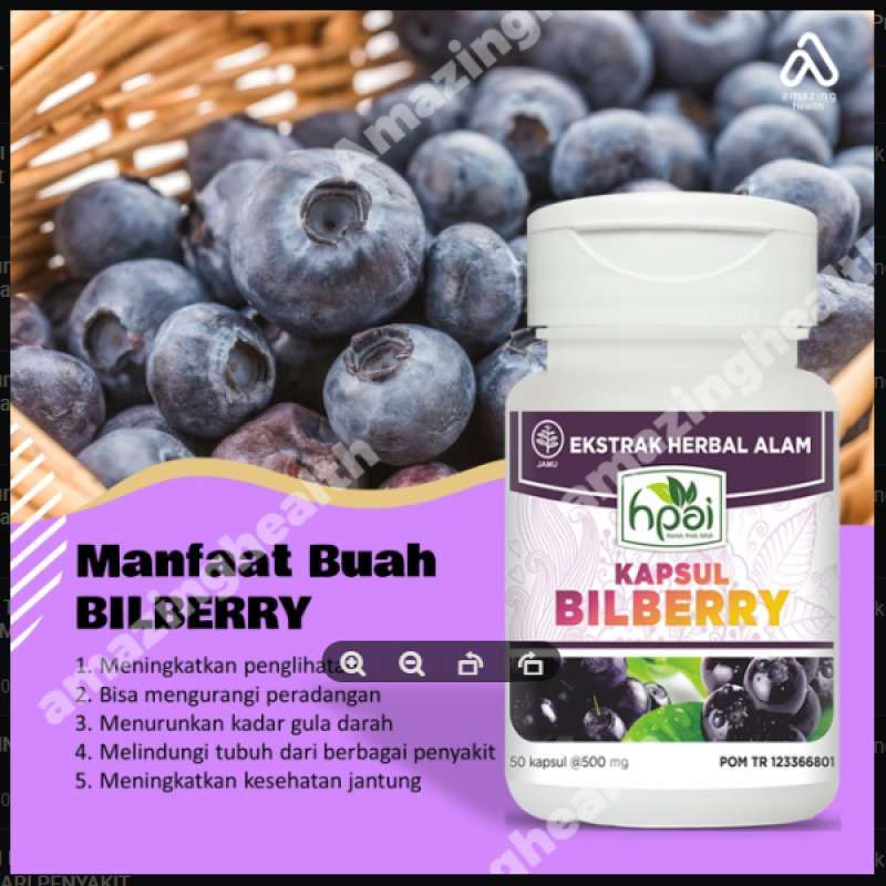 Jual Bilberry kapsul HNI HPAIsuplemen vitamin obat herbal penurun mata