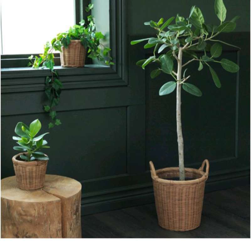 Jual dekorasi rumah pot tanaman dengan bentuk yang unik dan menarik