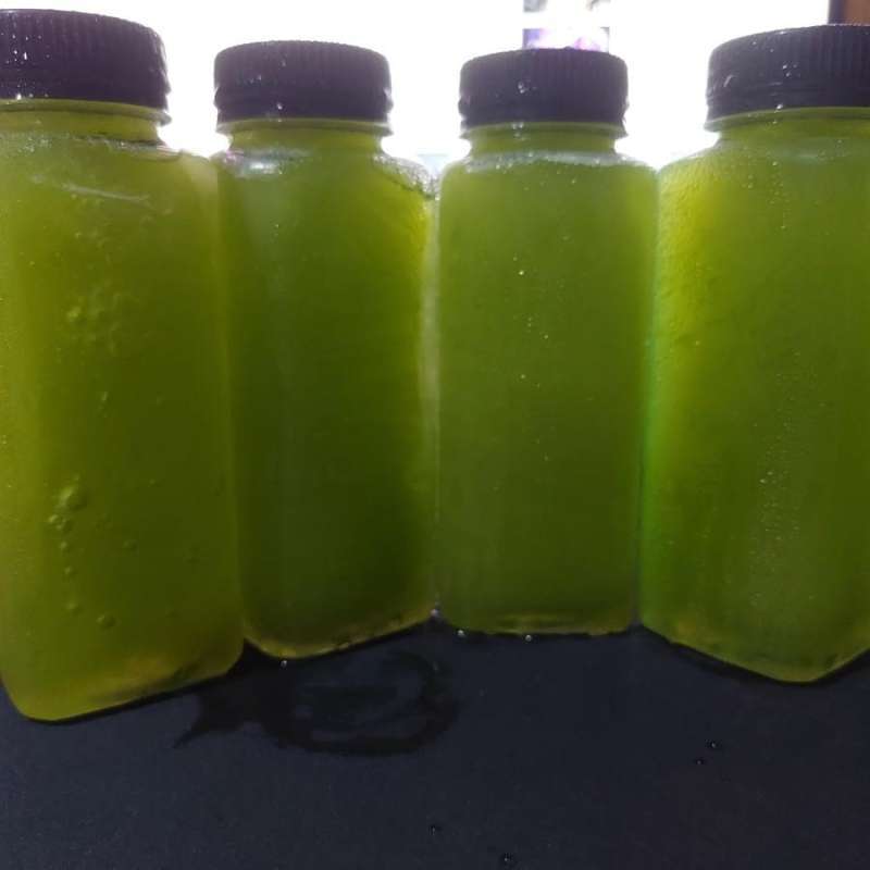 Jual Pure Water Melon Press Juice Melon Greeniegal Hydroponik CMF Pure