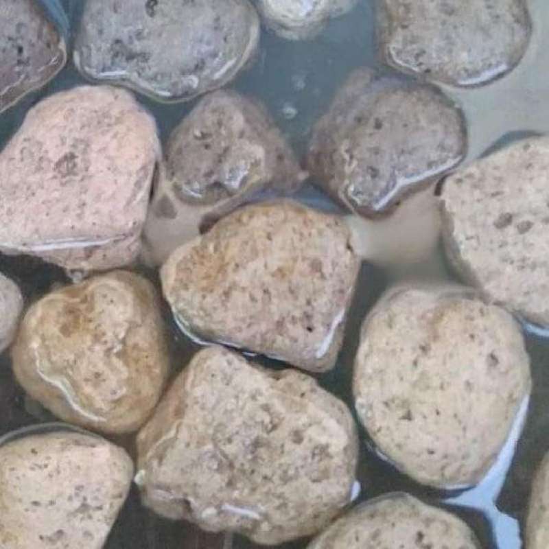 Jual Media filter batu apung pumice stone 1 karung 20kg kolam ikan koi