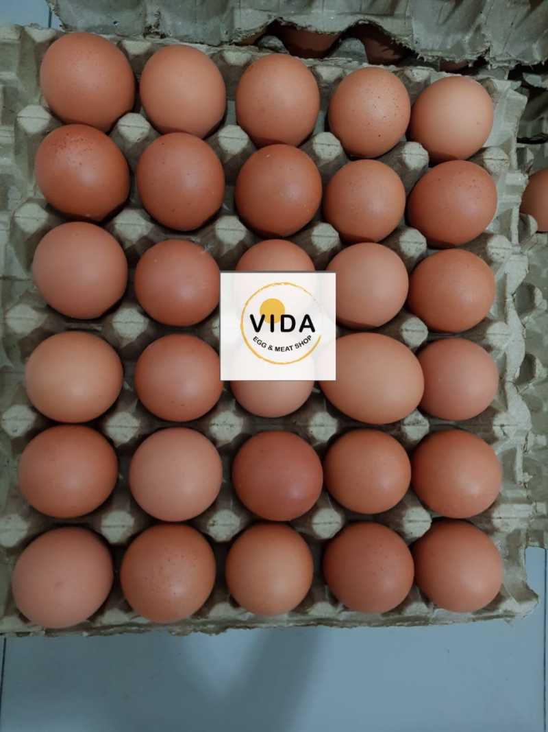 √ Telur Omega 3 (30 Butir) (1,880 1,995 Gr) Terbaru