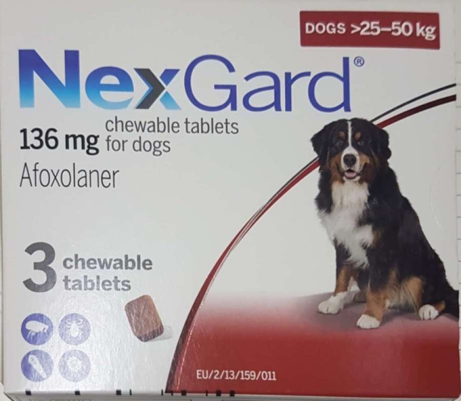 Promo NEXGARD 25-50Kg XL Dogs Obat Kutu Anjing 1 Tablet - Chewable ...